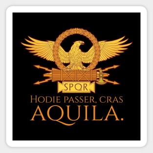 Hodie passer, cras aquila. - Today a sparrow, tomorrow an eagle. - Ancient Roman History - Classical Latin Sticker